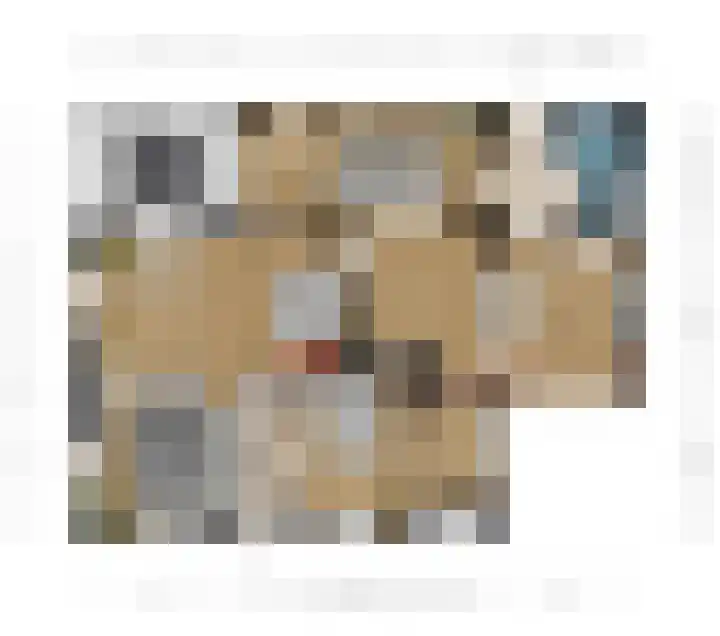 Eindstraat 17 Horn thumbnail 79