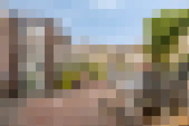 Eindstraat 2 Roosendaal thumbnail 39