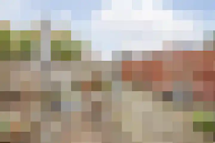 Eindstraat 27 B Venray thumbnail 21