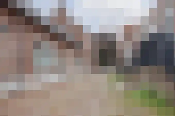 Eindstraat 27 B Venray thumbnail 26