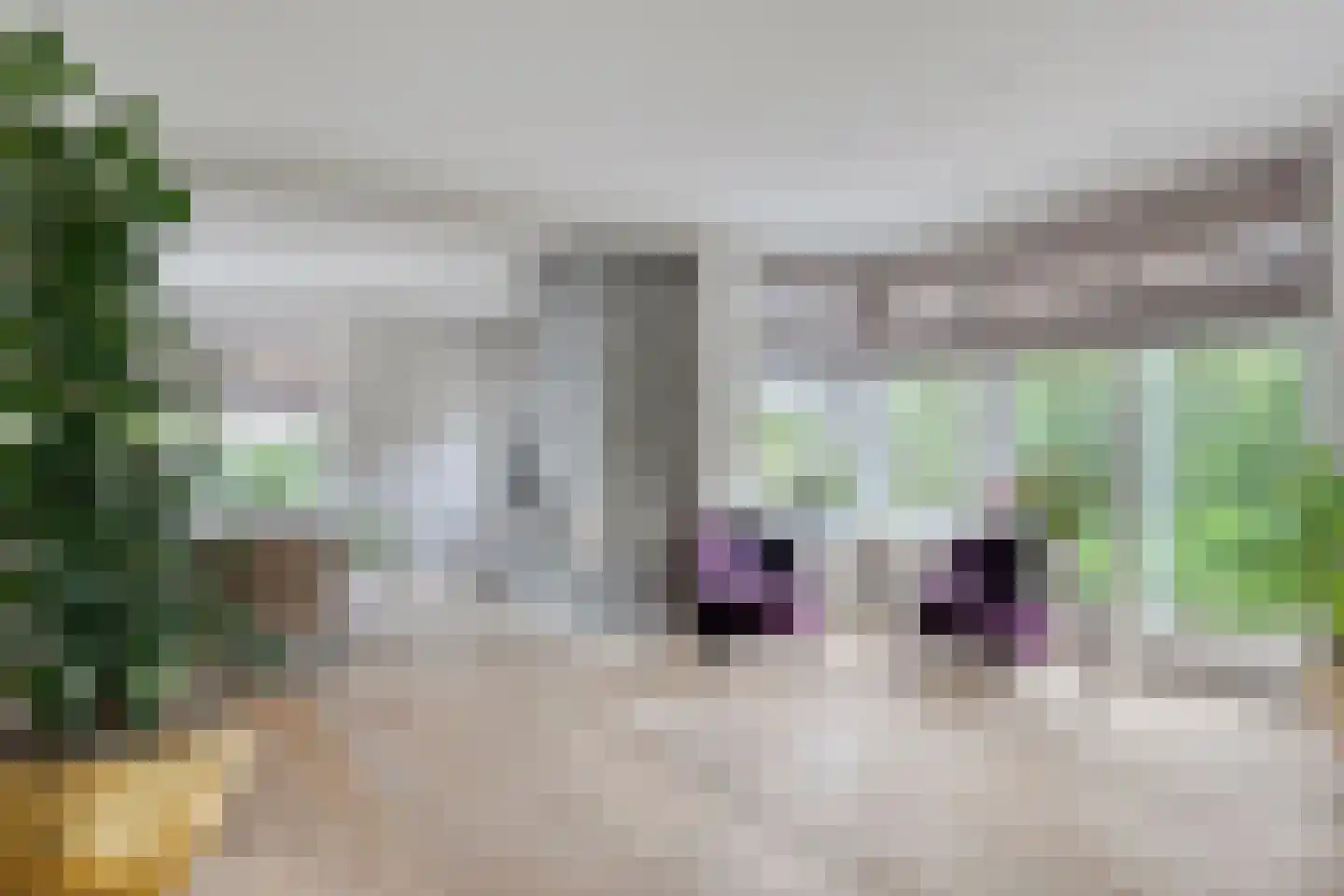 Eindstraat 28 Drunen thumbnail 11