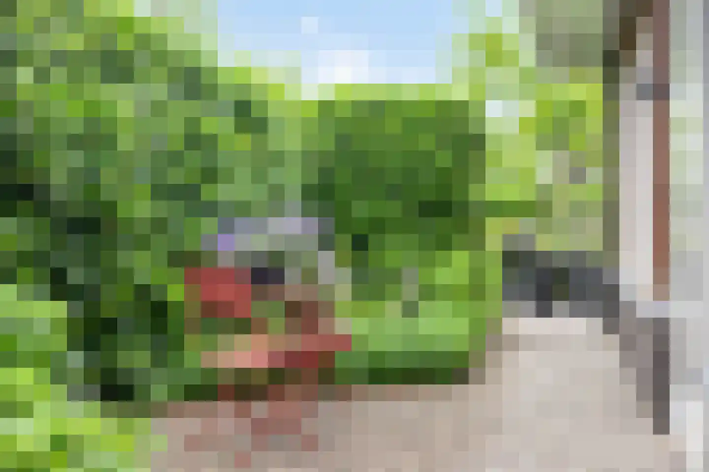 Eindstraat 28 Drunen thumbnail 56