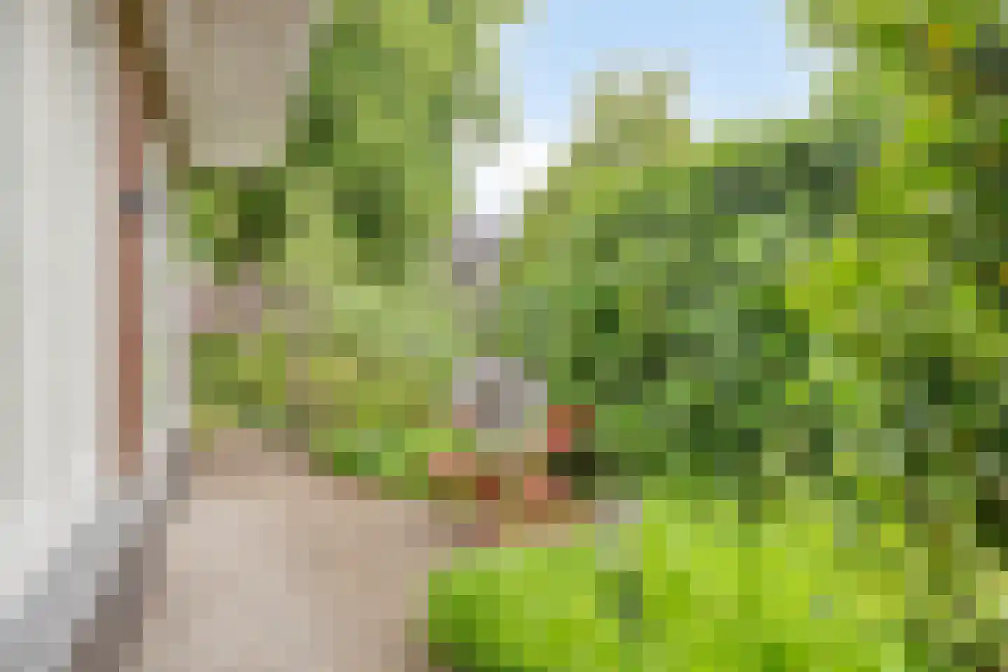 Eindstraat 28 Drunen thumbnail 57