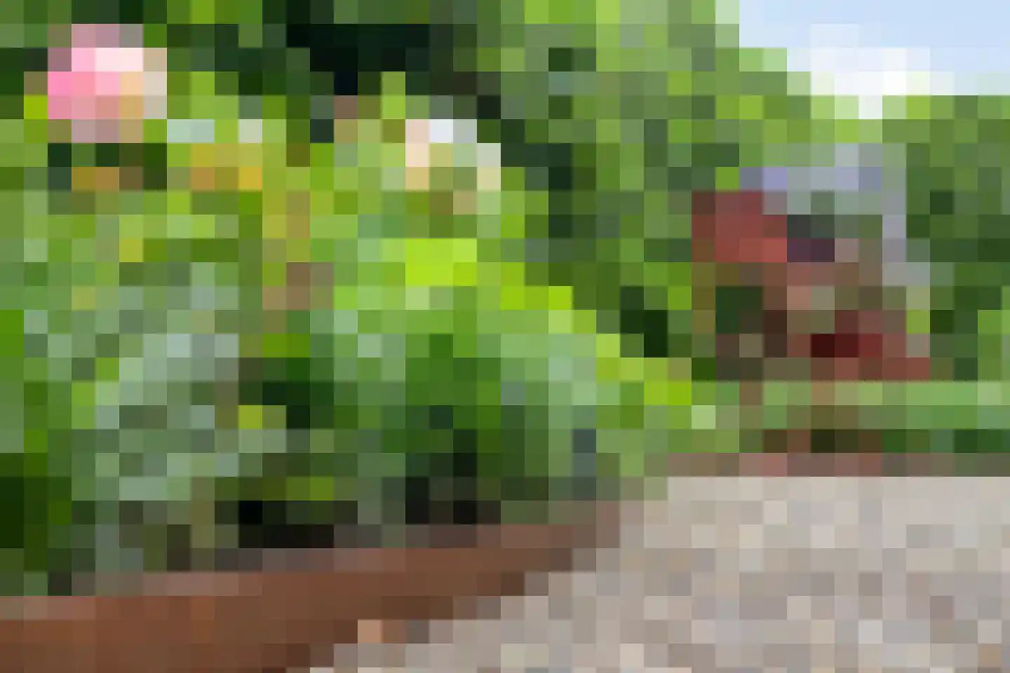 Eindstraat 28 Drunen thumbnail 60
