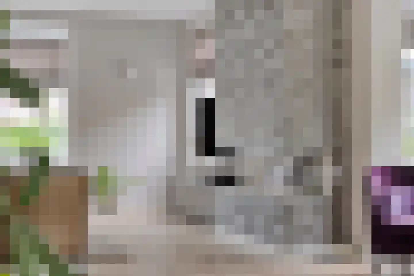 Eindstraat 28 Drunen thumbnail 9