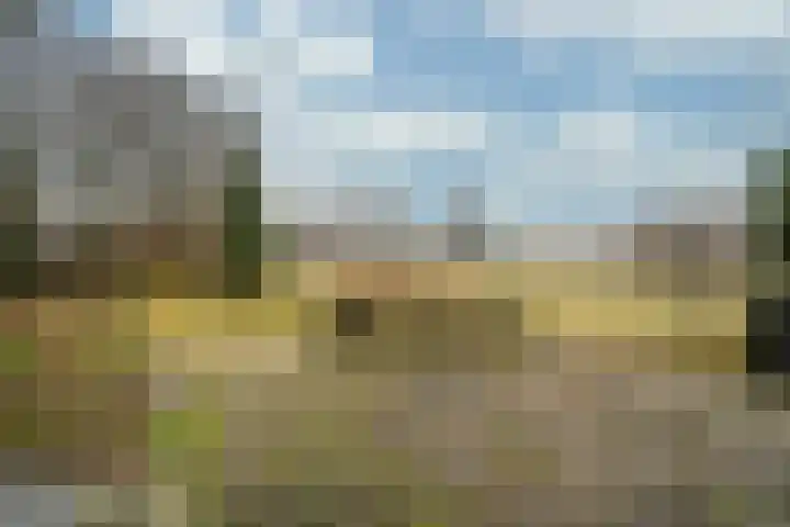 Eindstraat 3 Horn thumbnail 22