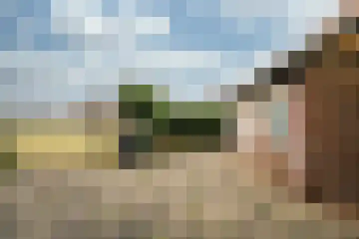 Eindstraat 3 Horn thumbnail 23