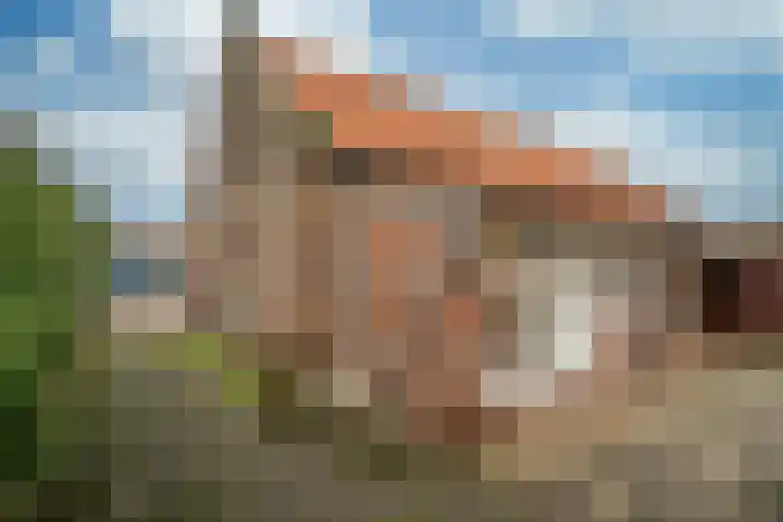 Eindstraat 3 Horn thumbnail 24