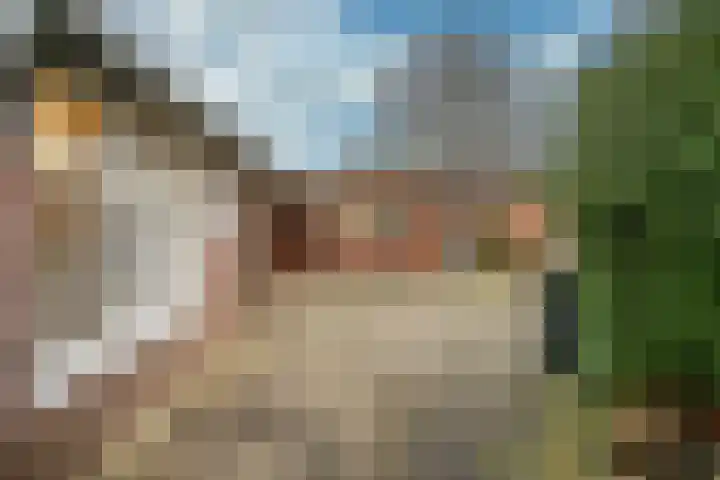 Eindstraat 3 Horn thumbnail 25