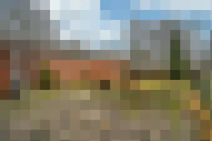 Eindstraat 3 Horn thumbnail 26