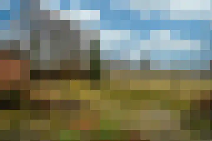Eindstraat 3 Horn thumbnail 27
