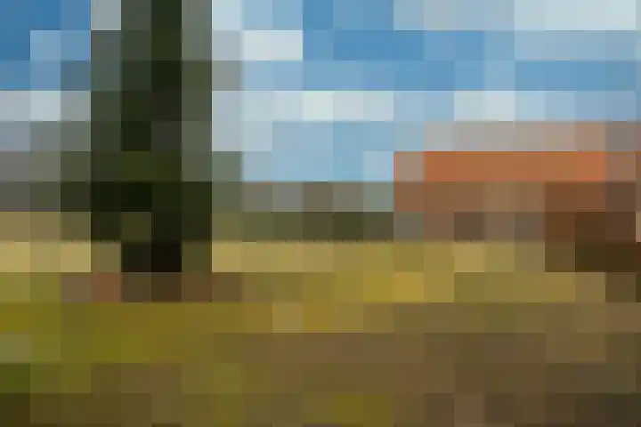 Eindstraat 3 Horn thumbnail 29