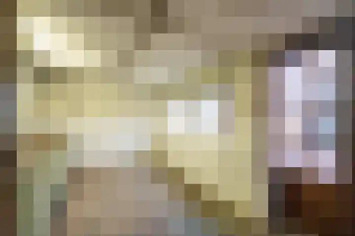 Eindstraat 3 Horn thumbnail 30