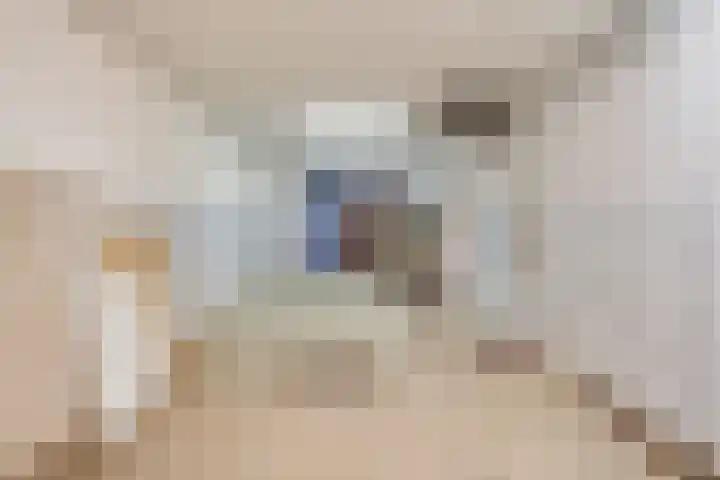 Eindstraat 3 Horn thumbnail 32