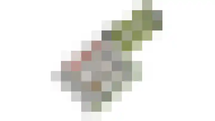Eindstraat 3 Horn thumbnail 49