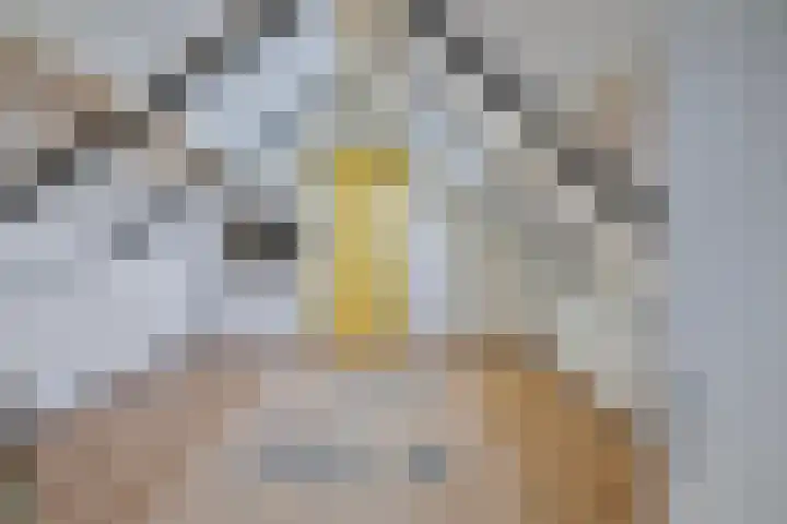 Eindstraat 31 Bingelrade thumbnail 25