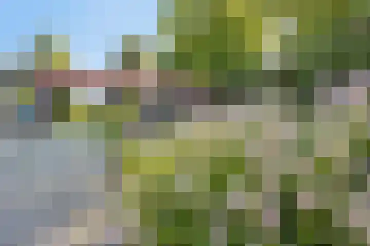 Eindstraat 31 Bingelrade thumbnail 31