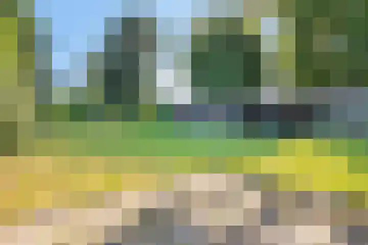Eindstraat 31 Bingelrade thumbnail 33