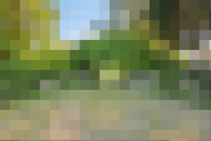 Eindstraat 31 Bingelrade thumbnail 34