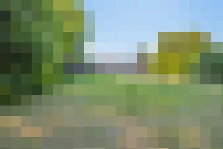 Eindstraat 31 Bingelrade thumbnail 35