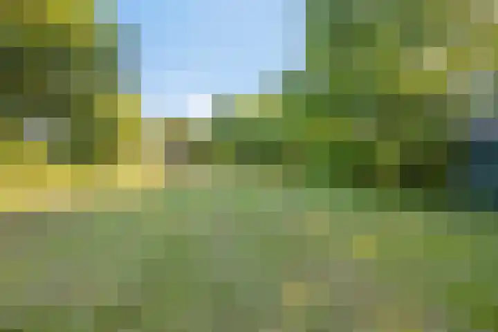 Eindstraat 31 Bingelrade thumbnail 36