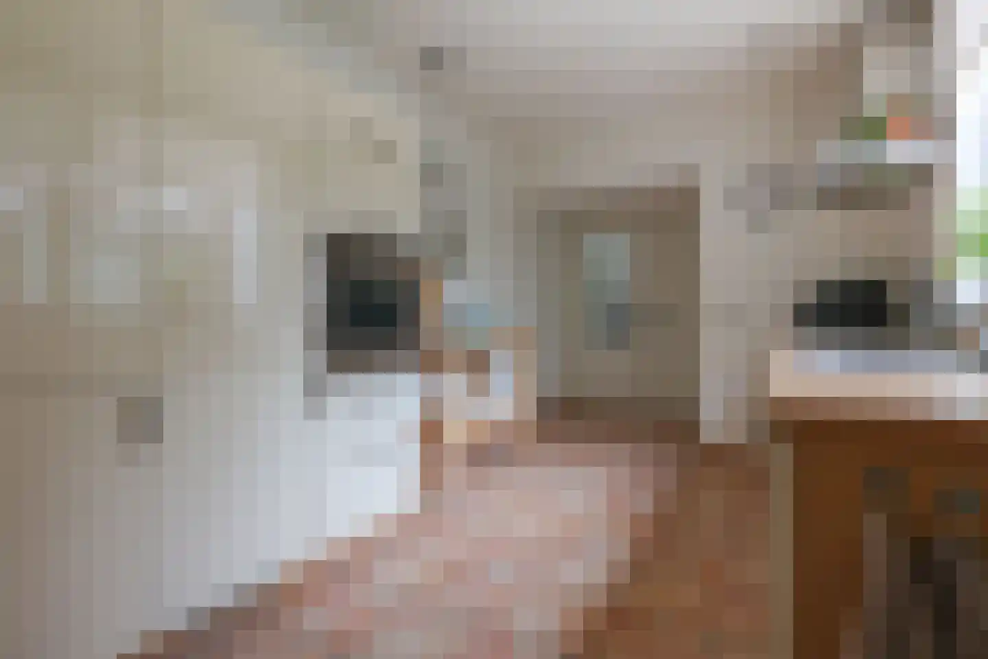 Eindstraat 35 Schinveld thumbnail 18