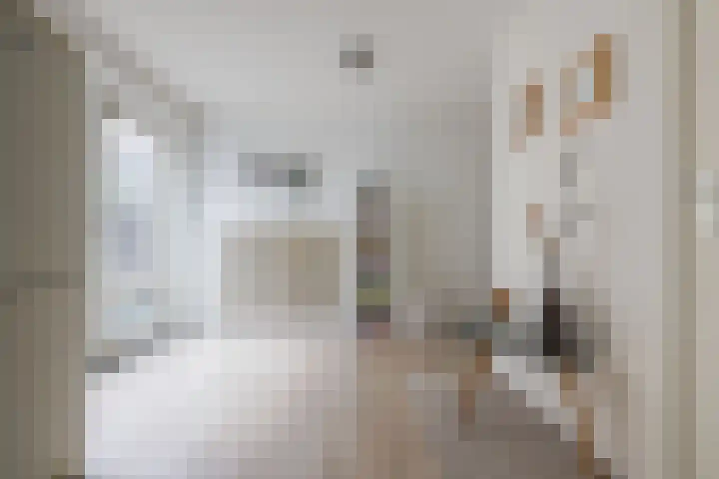 Eindstraat 35 Schinveld thumbnail 21