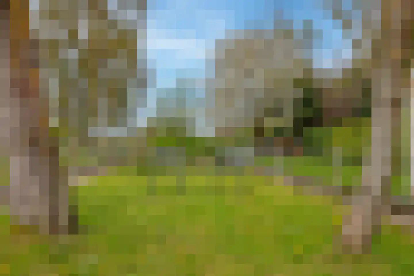 Eindstraat 35 Schinveld thumbnail 41
