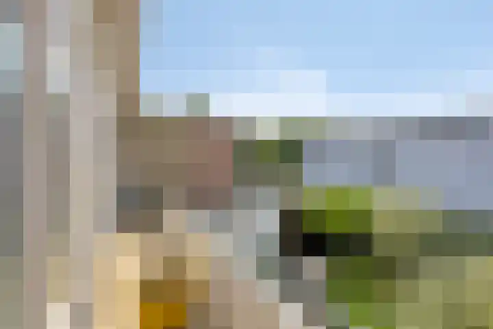 Eindstraat 4 's-Hertogenbosch thumbnail 11