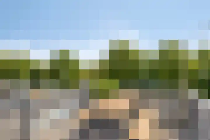 Eindstraat 4 's-Hertogenbosch thumbnail 22