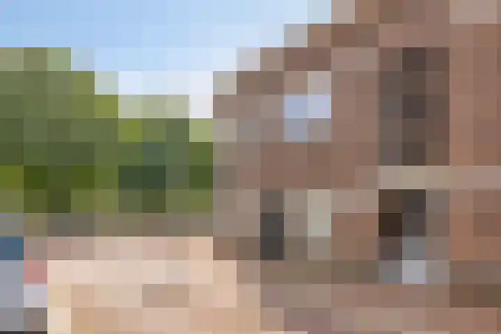 Eindstraat 4 's-Hertogenbosch thumbnail 23