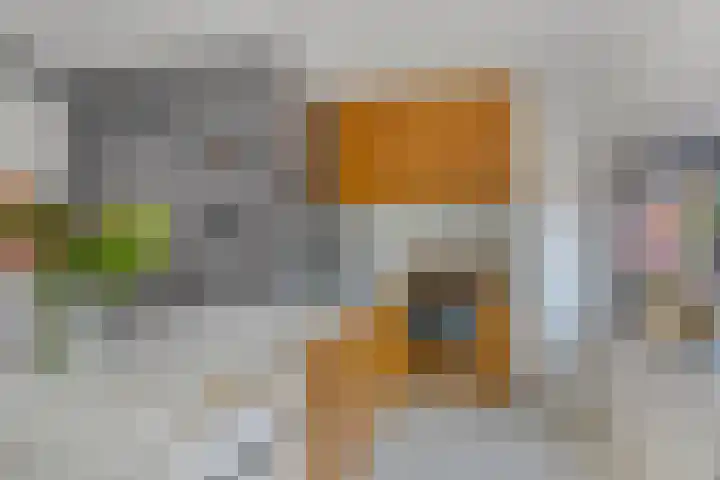Eindstraat 4 's-Hertogenbosch thumbnail 4