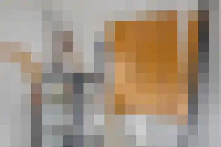Eindstraat 4 's-Hertogenbosch thumbnail 7