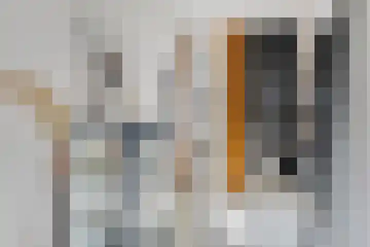 Eindstraat 4 's-Hertogenbosch thumbnail 8