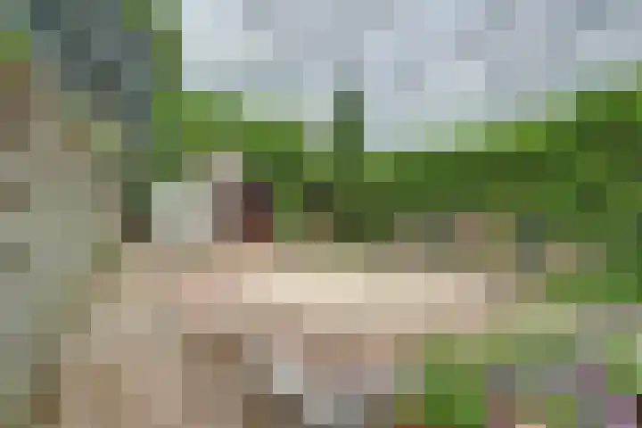 Eindstraat 51 Schinveld thumbnail 35
