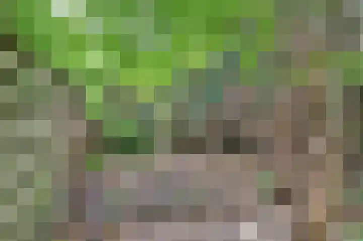 Eindstraat 51 Schinveld thumbnail 36