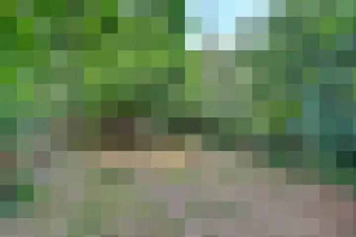 Eindstraat 51 Schinveld thumbnail 37