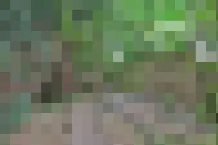 Eindstraat 51 Schinveld thumbnail 38