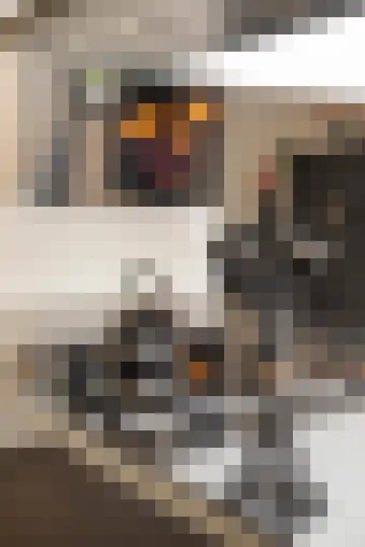 Eindstraat 54 Beegden thumbnail 10