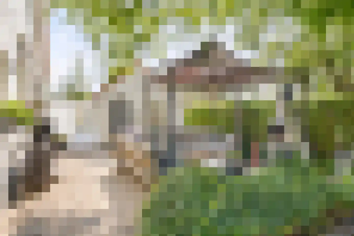 Eindstraat 56 Drunen thumbnail 43