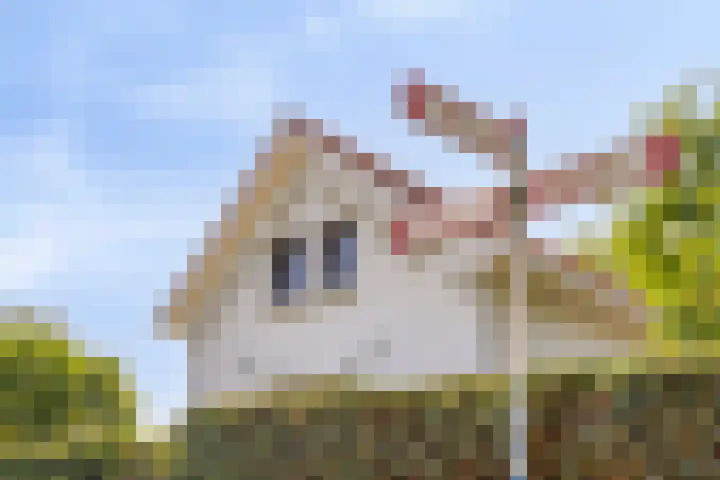 Eindstraat 56 Drunen thumbnail 47