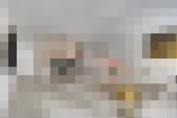 Eindstraat 72 Venray thumbnail 22