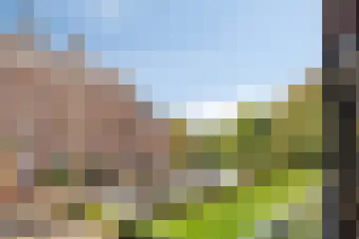 Eindstraat 72 Venray thumbnail 32
