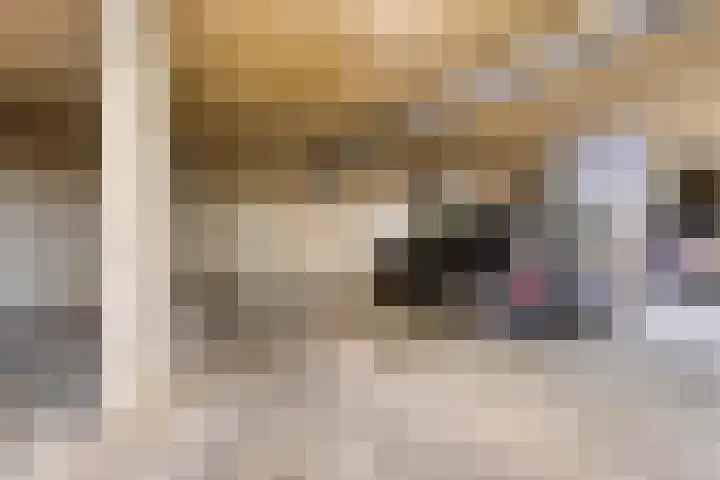 Eindstraat 72 Venray thumbnail 35