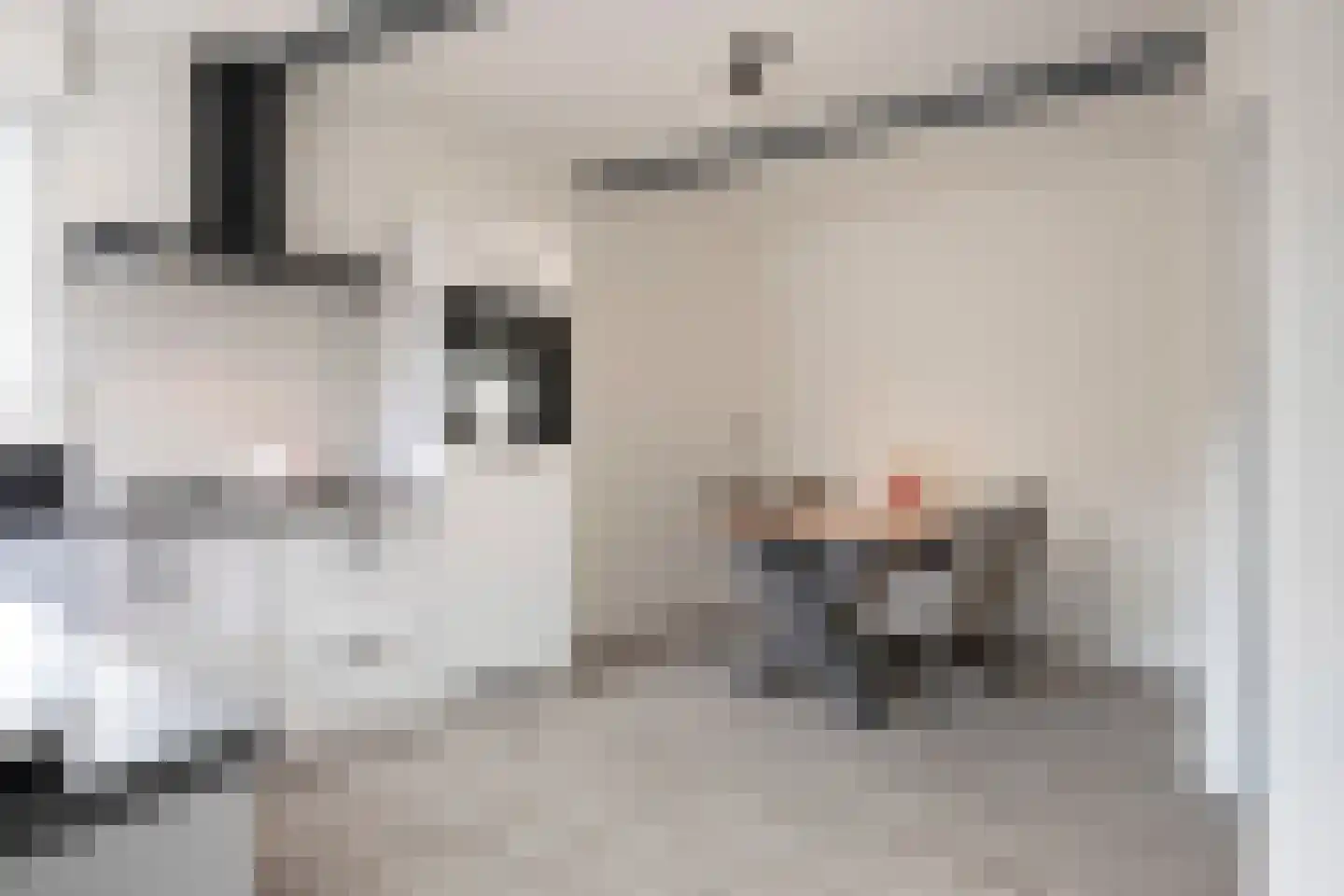 Eindstraat 8 Schinveld thumbnail 16