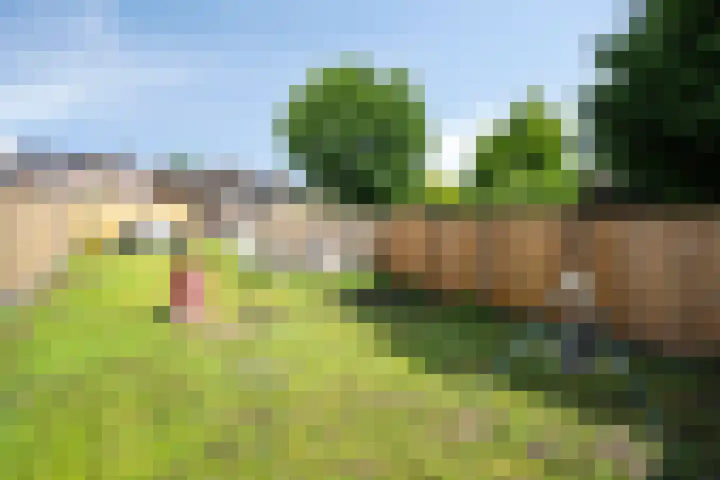 Eindstraat 8 Schinveld thumbnail 24