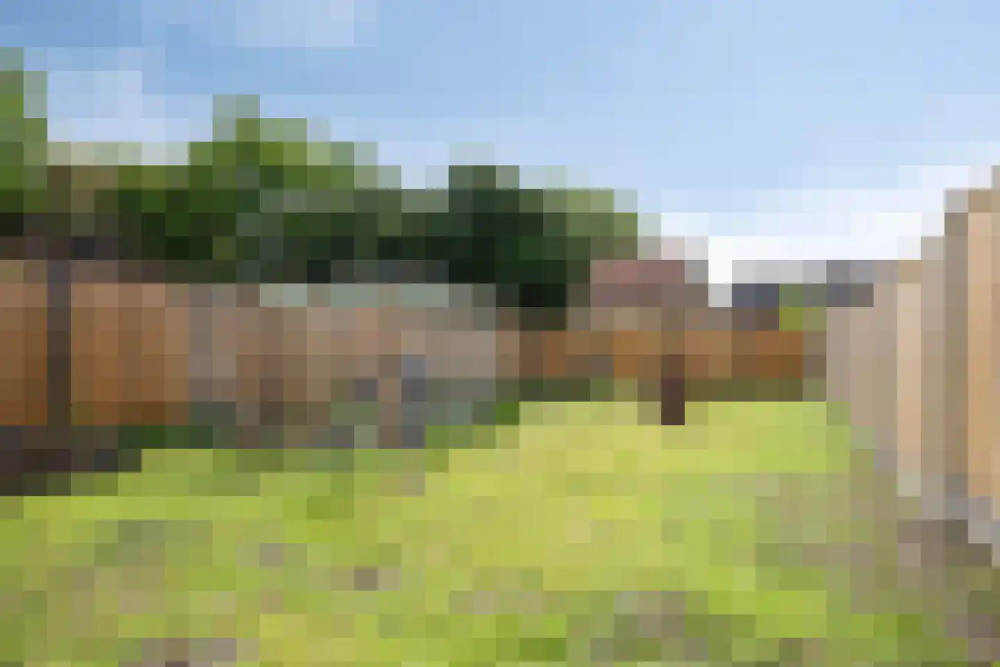 Eindstraat 8 Schinveld thumbnail 5