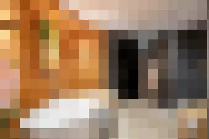 Eindstraat 87 Schinveld thumbnail 13