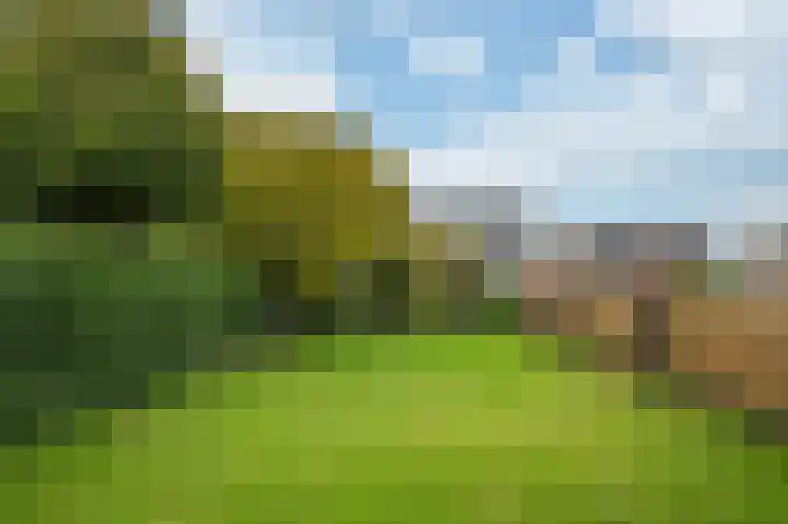 Eindstraat 87 Schinveld thumbnail 37