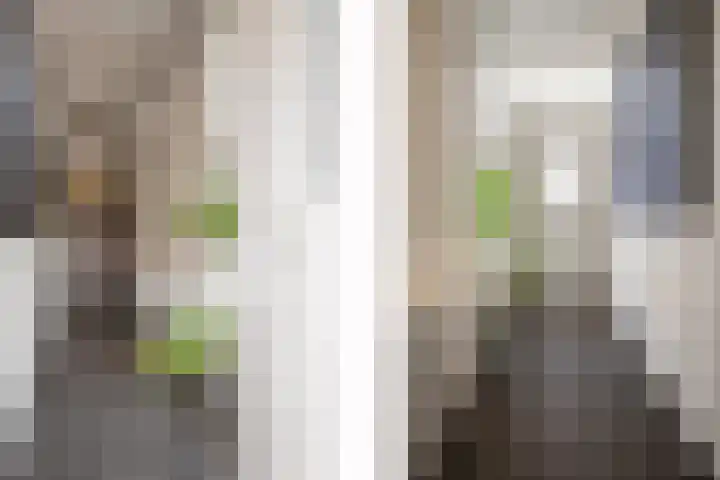 Eindstraat 87 Schinveld thumbnail 4